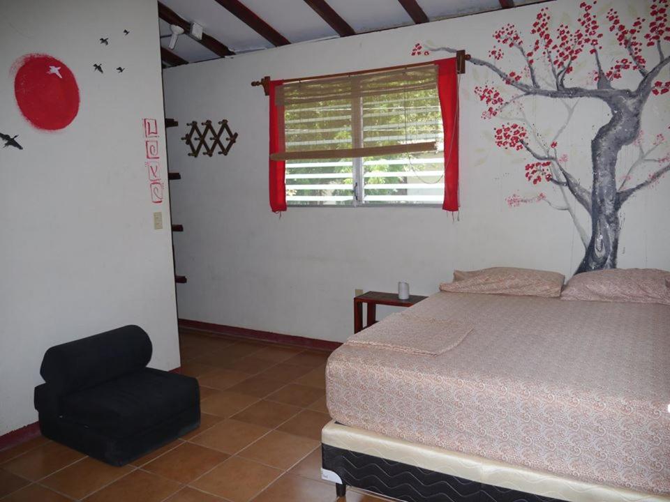 Free Spirit Hostel Transito Esterno foto
