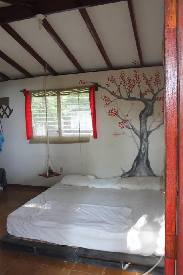 Free Spirit Hostel Transito Esterno foto